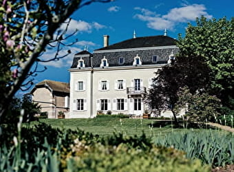 Château du Moulin-à-Vent - ROMANECHE-THORINS
