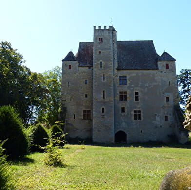 Visite guidée du Château de Chevenon 