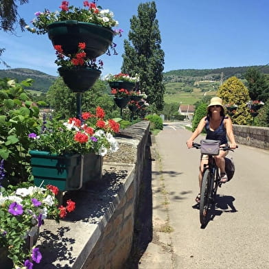 Active Tours : Les vignobles en vélo de Beaune à Mâcon
