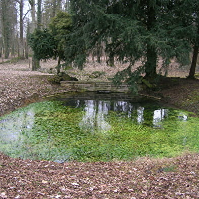 Balades naturalistes gratuites sur la nappe de Dijon Sud  et de la Cent Fonts - Parcours 1 (Fénay-Saulon-la-Rue) - ENS2024