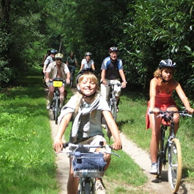 Balade à vélo pour enfants avec guide - Vermenton - Grottes d'Arcy 