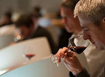 Journée dégustation des vins de Bourgogne  - BEAUNE